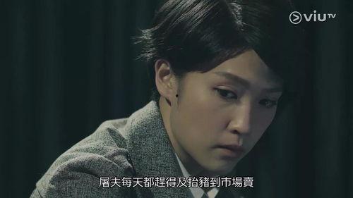 诡探国语在线观看,揭秘暗影中的真相，在线观看探秘之旅  第3张